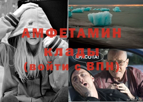 мяу мяу мука Белокуриха