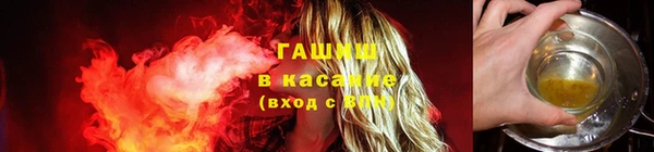 мяу мяу мука Белокуриха