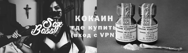 мяу мяу мука Белокуриха