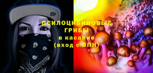 мяу мяу мука Белокуриха